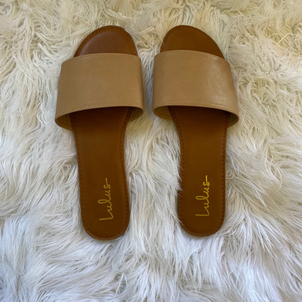 Tan slides